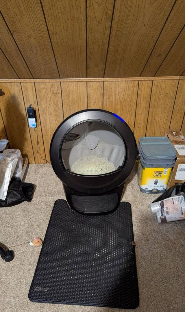 litter box