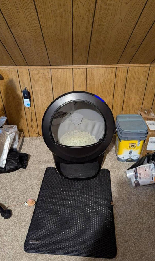 litter box